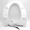 Lunette de remplacement pour abattant japonais JT270A/B