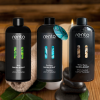 Arome für Sauna Eucalyptus Birke und Ingwer Rento 400ml