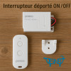 A distanza dell'interruttore / OFF 1000 W con telecomando