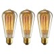 Lot de 3 ampoules vintage bulb Edison E14 - ST48 40W