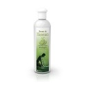 ROSMARIN Belebend – mit warmen und feurigen Aromen