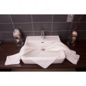 Lot de 10 serviettes pour les mains 30 x 30 cm 100 % coton 420g/m2