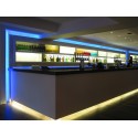 Lot de 2 kits rubans à LED RGB 5m télécommandés Transformateur IP68 