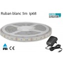 Band führte wasserdichte weiße heiße 5 m 12v mit Transformator IP68