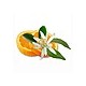 Pure massage "Destressing" Orange Blossom