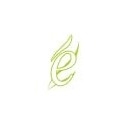 Eukalyptus 250 ml Aromatherapie für Spa-Whirlpool-Spa samt
