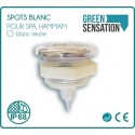 Foco empotrable LED blanco impermeable IP68 2 W