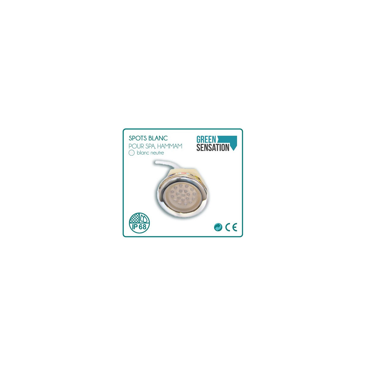 Foco empotrable LED blanco impermeable IP68 2 W