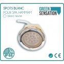 Foco empotrable LED blanco impermeable IP68 2 W