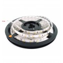 Ruban à LED Blanc intense (blanc froid) IP65 5 m adhésif 24 W