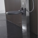Bodyclean - 2-strahlige Balneotherapie-Duschsäule aus Edelstahl mit integriertem Sitz S179-T