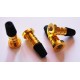 Kit fiber optic black RGB 16W Skyled with heads in gold