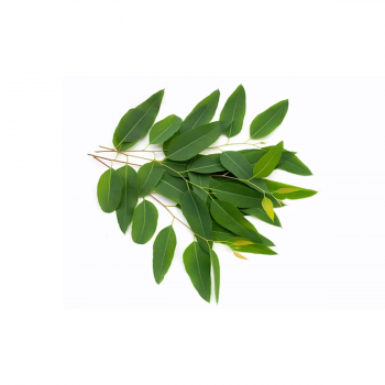 Brume de hammam Eucalyptus Respiratoire - Aromathérapie aux arômes frais et pénétrants