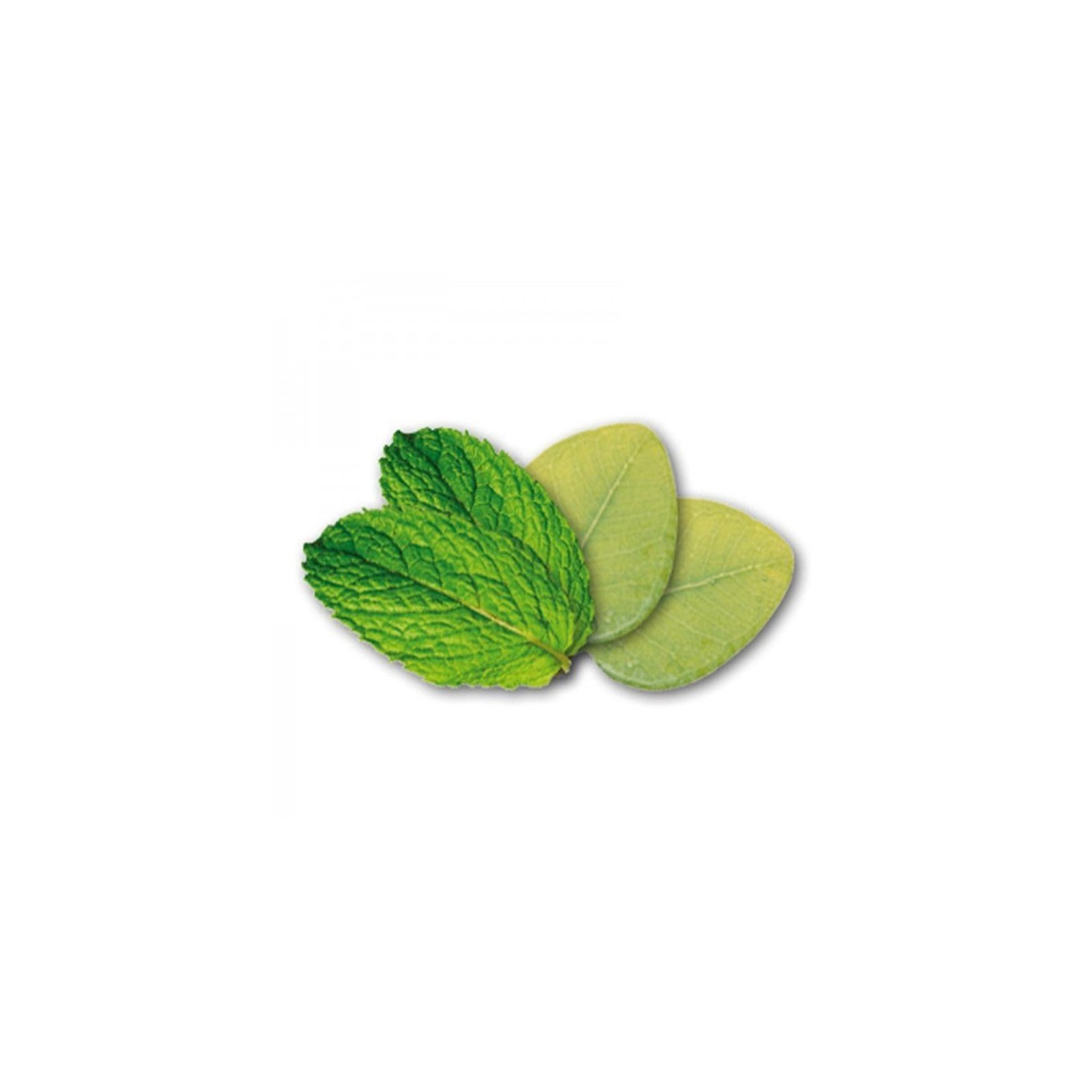 EUCALYPTUS / MENTHE  Respiratoire et Rafraichissant