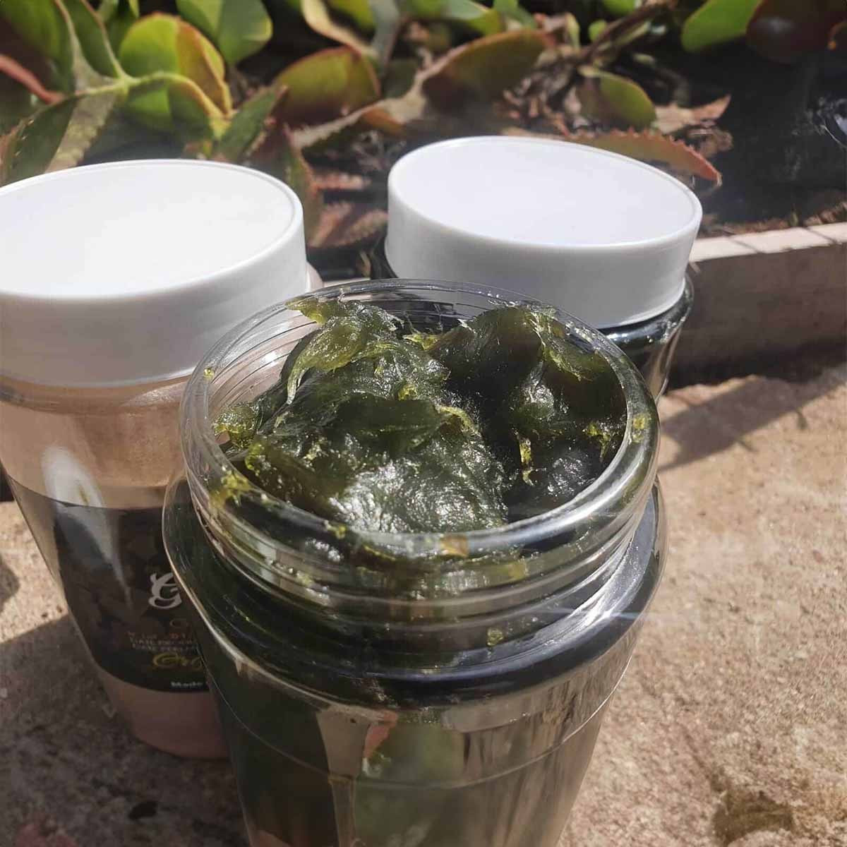 Lot de 10 kg de savon noir 100% naturel BIO à l'eucalyptus beldi pour soin du corps
