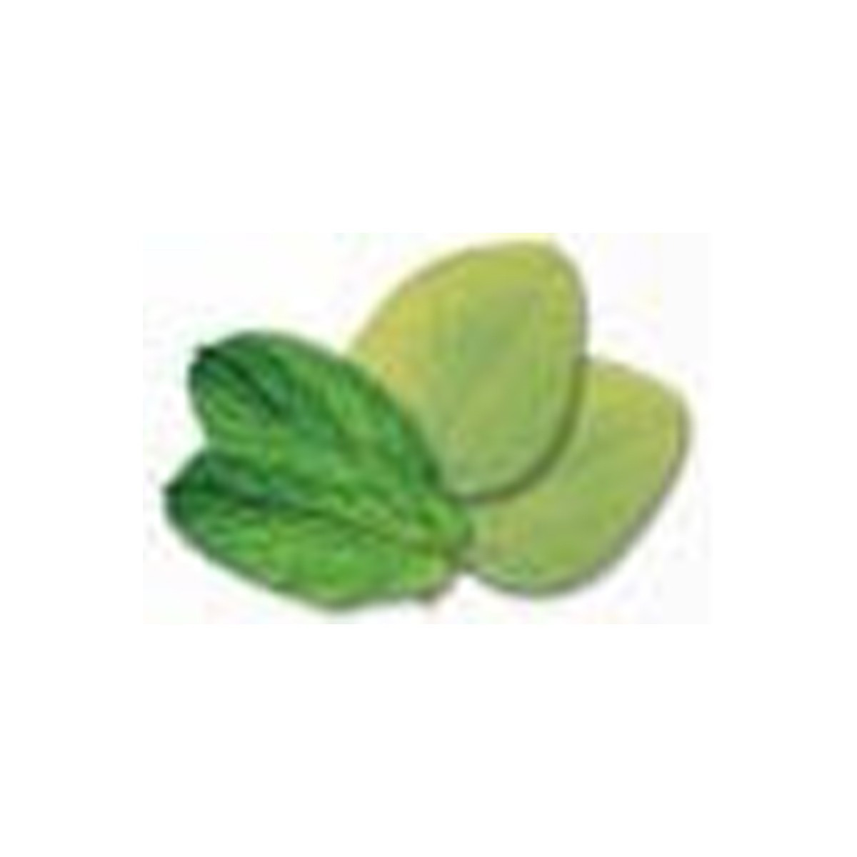 Saunaschleier Eukalyptus/Minze 250ml
