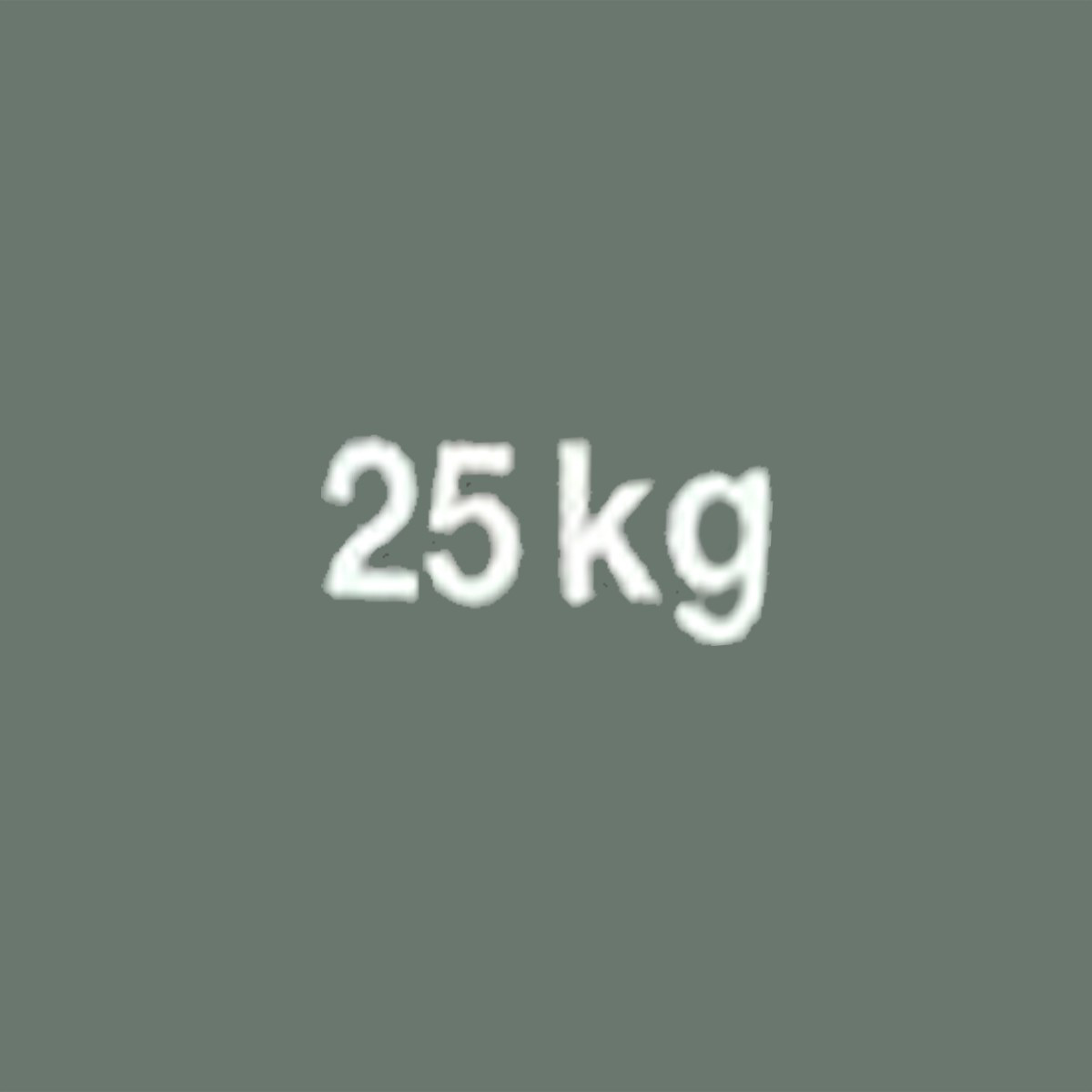 Hamam-Kleber-Mörtel Schwimmbad Proliaqua Weiß ParexLanko L526BL25 25 kg